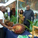 GIPC CEO rallies investors to back oil palm expansion at Birim oil mills