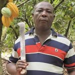 Bitter times for cocoa farmers as chocolate market slumps